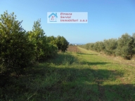 casa indipendente in vendita a Piombino