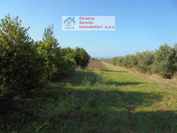 casa indipendente in vendita a Piombino