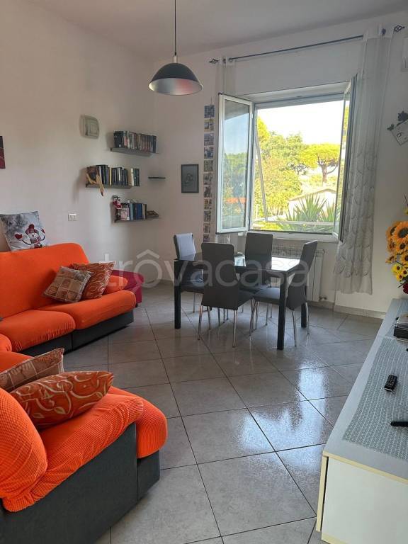 appartamento in vendita a Piombino