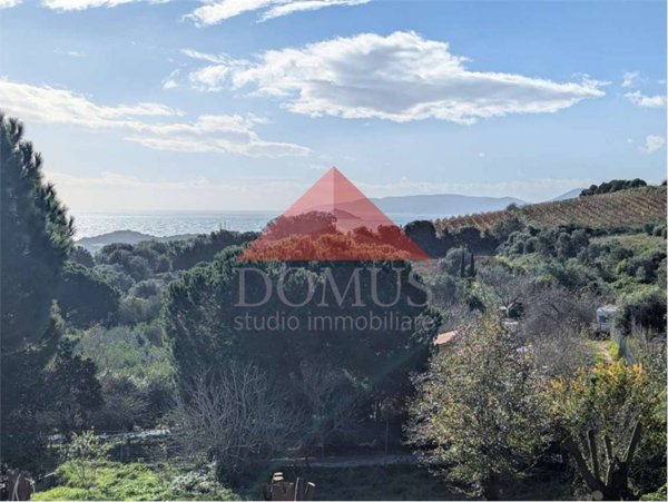 terreno agricolo in vendita a Piombino