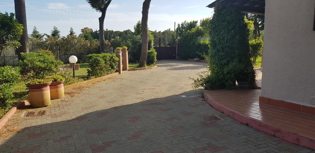 casa indipendente in vendita a Piombino