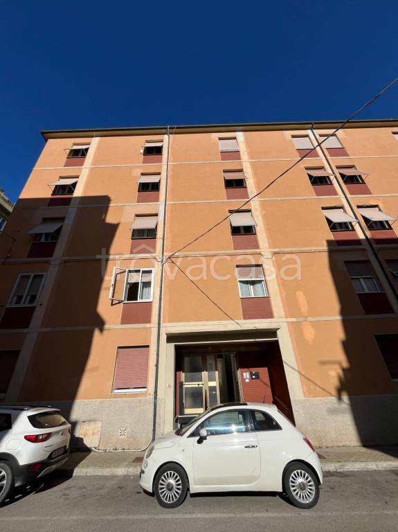 appartamento in vendita a Piombino