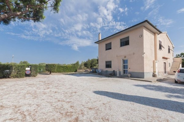 negozio in vendita a Piombino