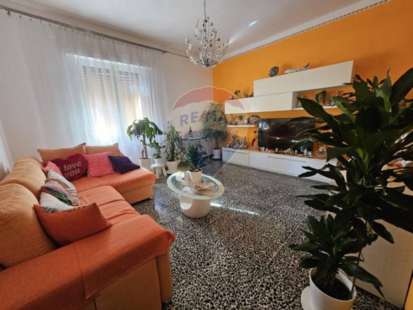 appartamento in vendita a Piombino