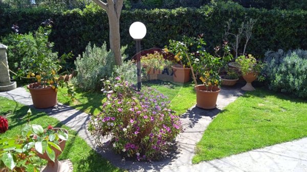 appartamento in vendita a Piombino in zona Baratti