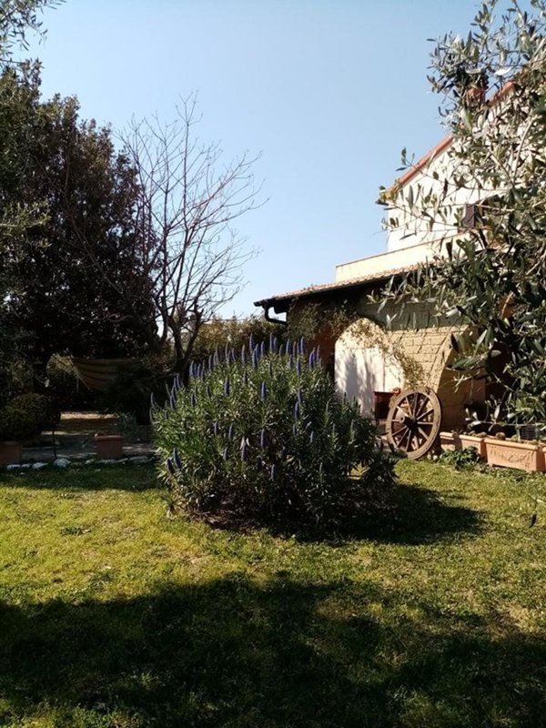 casa indipendente in vendita a Piombino
