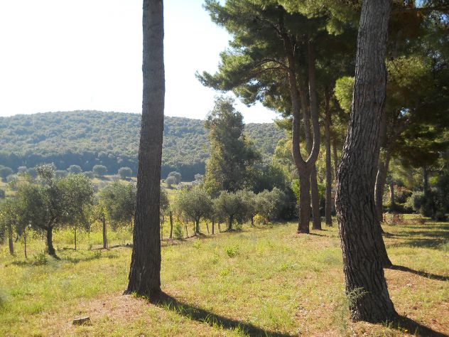 terreno agricolo in vendita a Piombino in zona Baratti