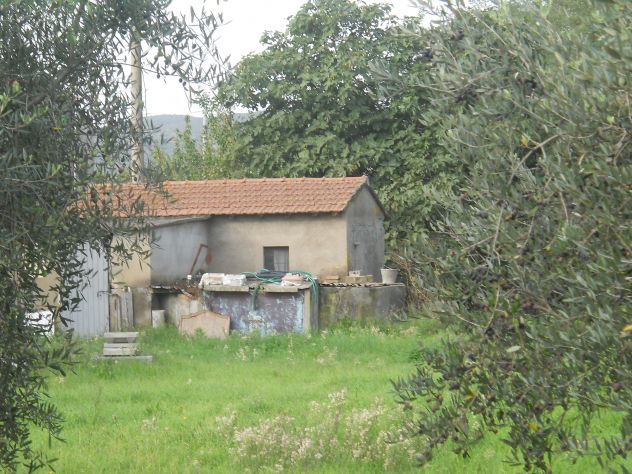 terreno agricolo in vendita a Piombino
