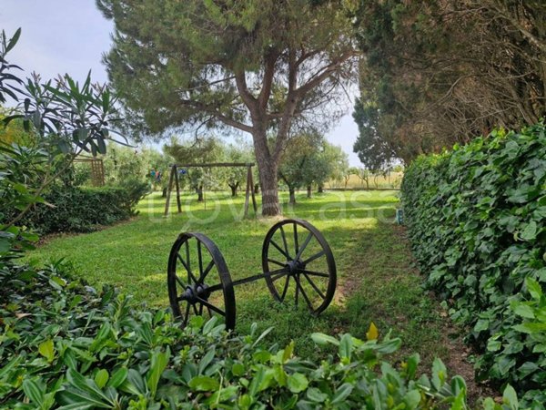 appartamento in vendita a Piombino