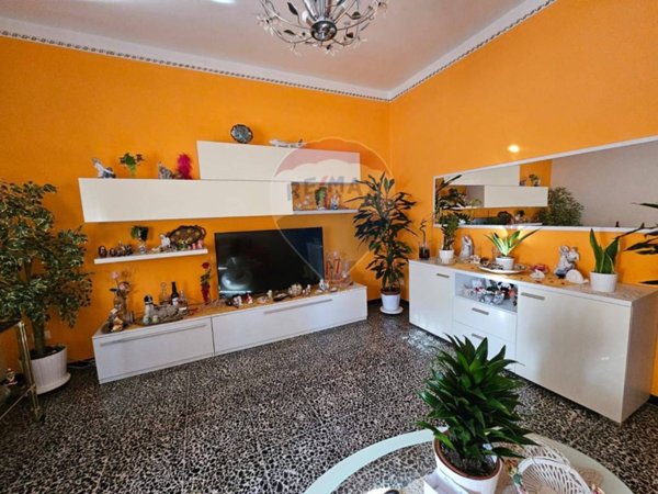 appartamento in vendita a Piombino