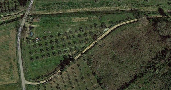 terreno agricolo in vendita a Piombino