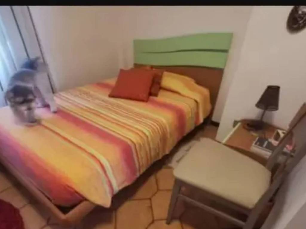 appartamento in vendita a Piombino