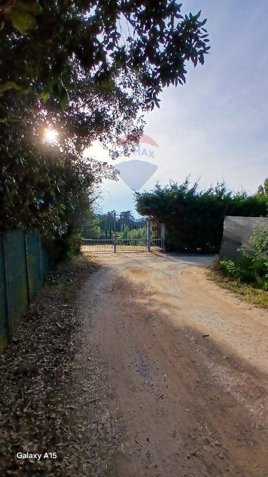 terreno agricolo in vendita a Piombino in zona Baratti