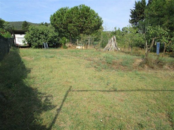 terreno agricolo in vendita a Piombino