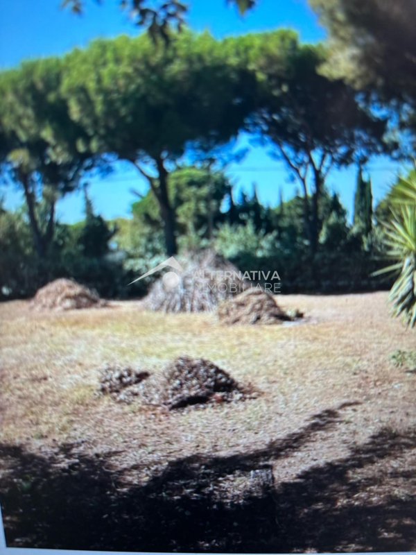 terreno agricolo in vendita a Piombino in zona Baratti