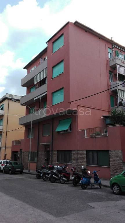 appartamento in vendita a Piombino