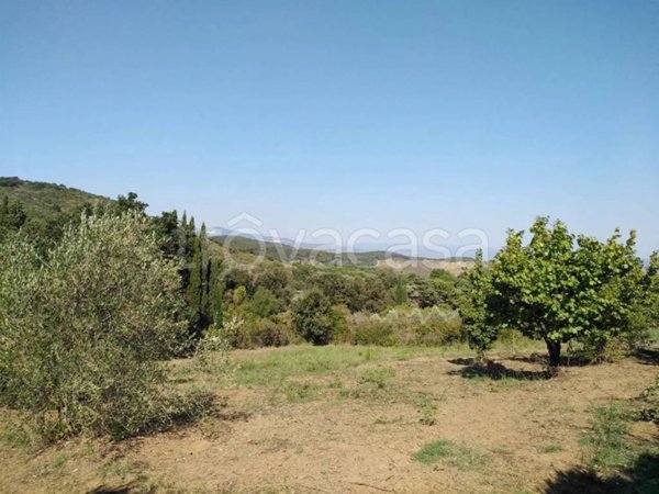 terreno agricolo in vendita a Piombino in zona Fiorentina
