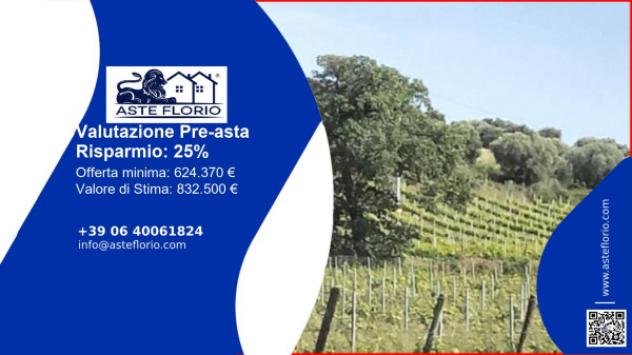 terreno agricolo in vendita a Piombino
