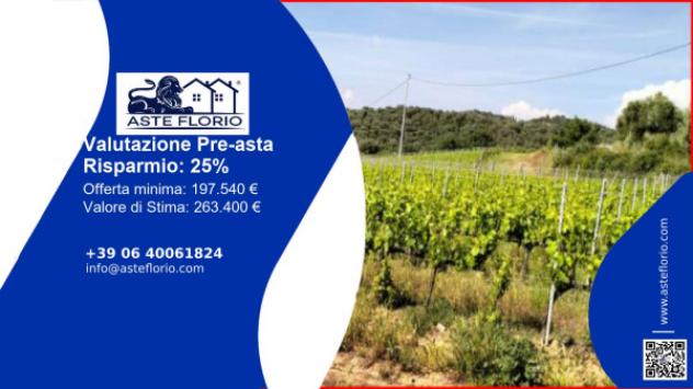 terreno agricolo in vendita a Piombino