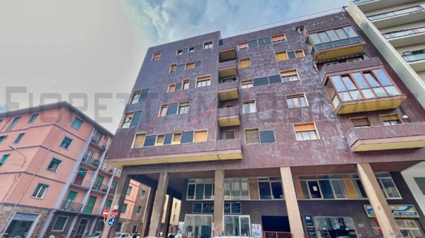 appartamento in vendita a Piombino