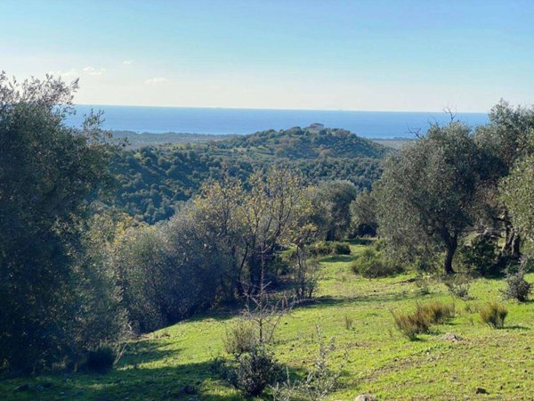 terreno agricolo in vendita a Piombino