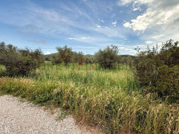 terreno agricolo in vendita a Piombino