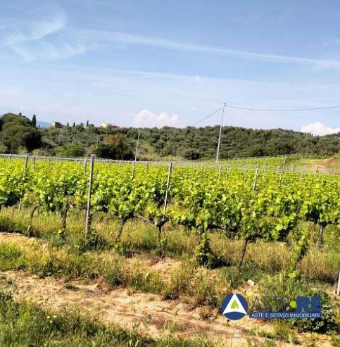 appartamento in vendita a Piombino