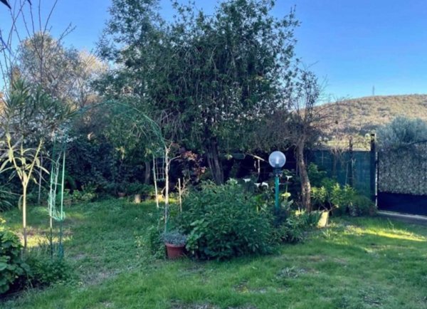 terreno agricolo in vendita a Piombino in zona Baratti