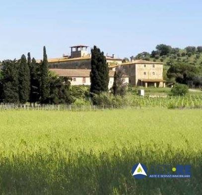 terreno agricolo in vendita a Piombino