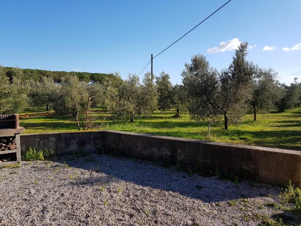 terreno agricolo in vendita a Piombino