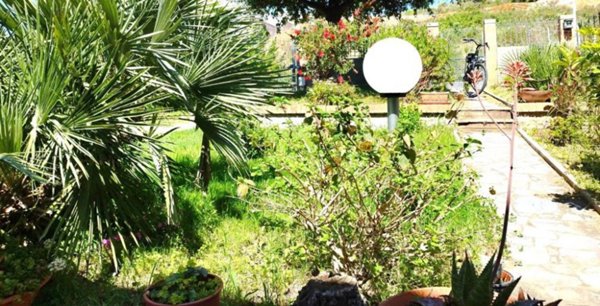casa indipendente in vendita a Piombino