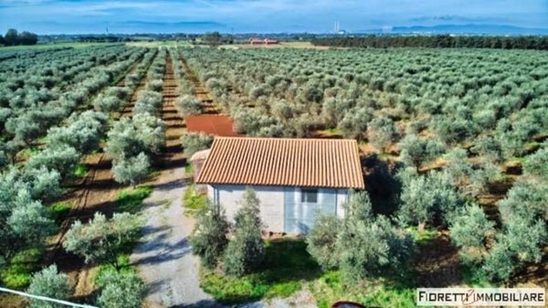 terreno agricolo in vendita a Piombino