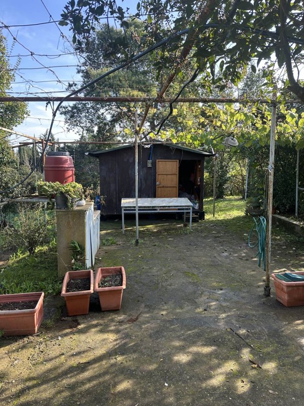terreno agricolo in vendita a Piombino in zona Fiorentina