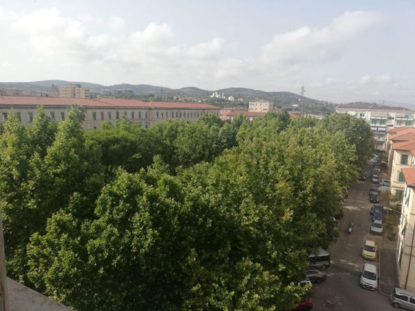 appartamento in vendita a Piombino