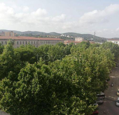 appartamento in vendita a Piombino