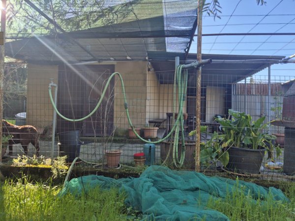 terreno agricolo in vendita a Piombino in zona Baratti