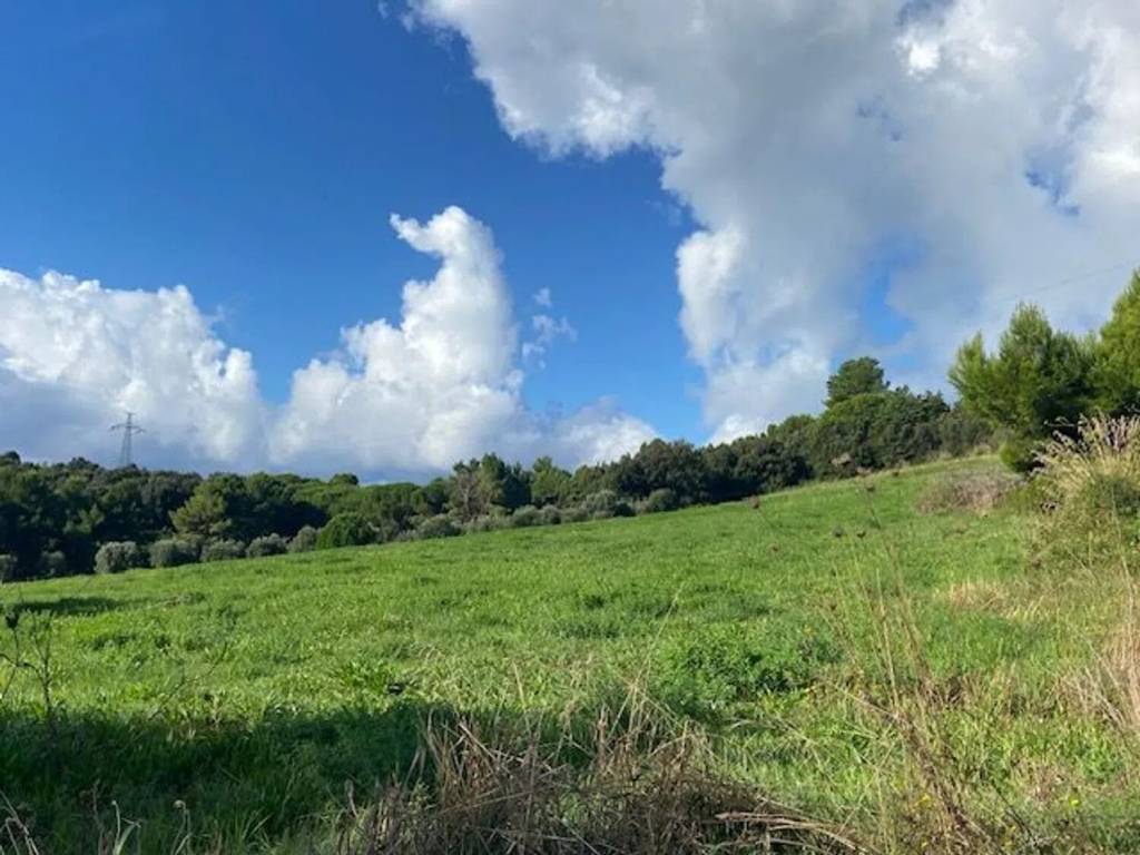 terreno agricolo in vendita a Piombino