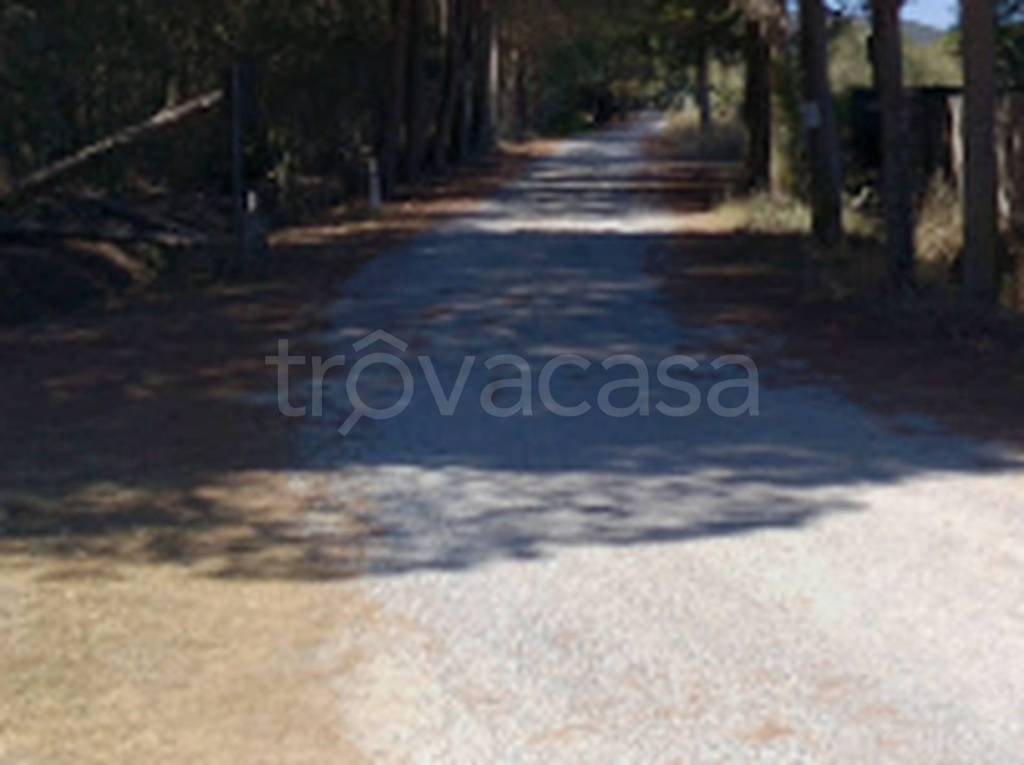 appartamento in vendita a Piombino