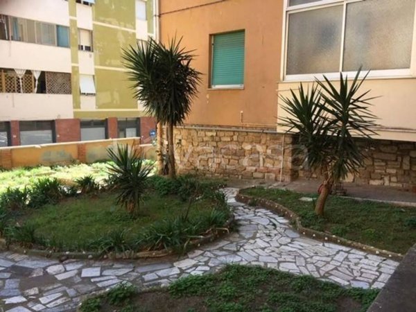 appartamento in vendita a Piombino