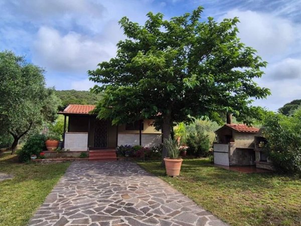 terreno agricolo in vendita a Piombino in zona Baratti