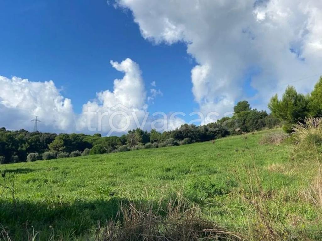 terreno agricolo in vendita a Piombino