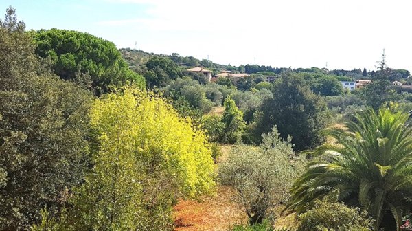 appartamento in vendita a Piombino