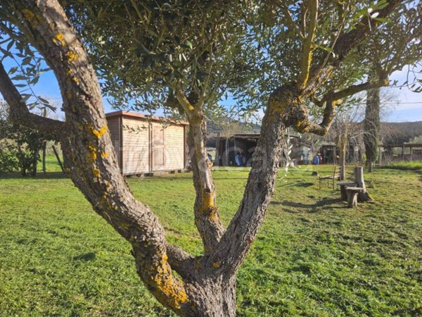 terreno agricolo in vendita a Piombino