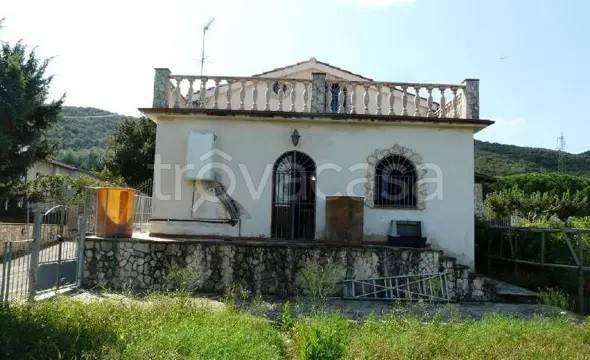 appartamento in vendita a Piombino