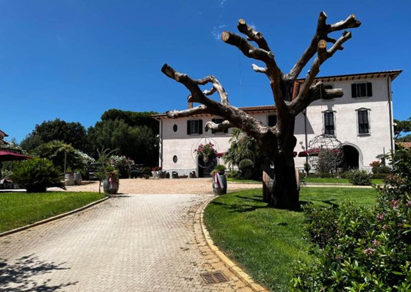 azienda agricola in vendita a Piombino in zona Populonia