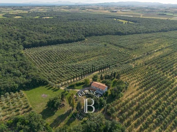 casa indipendente in vendita a Piombino