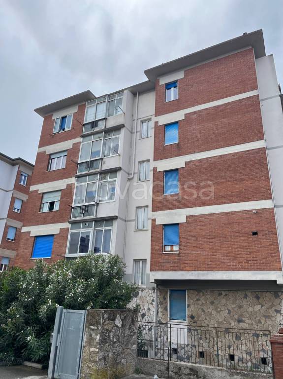 appartamento in vendita a Piombino