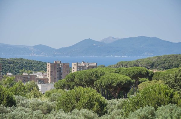 appartamento in vendita a Piombino