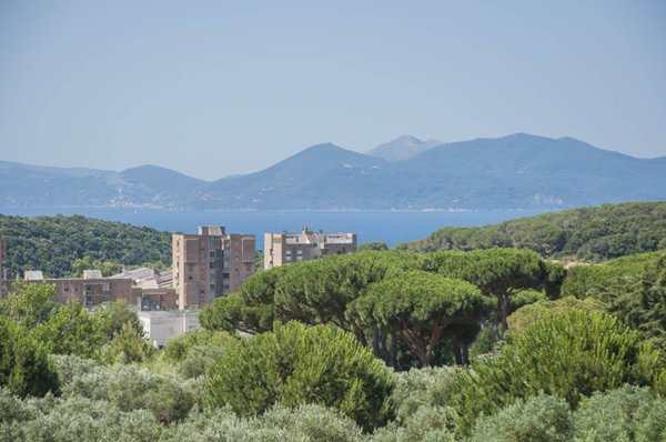 appartamento in vendita a Piombino