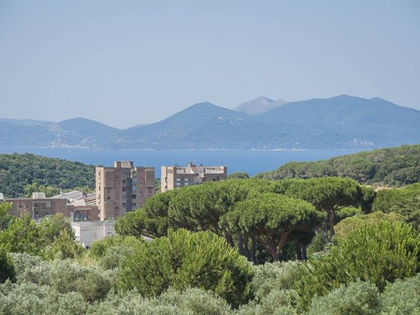 appartamento in vendita a Piombino